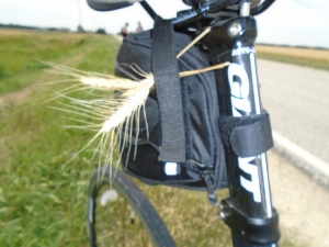 wheat bike